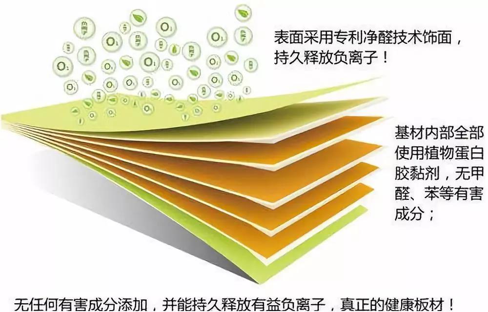 濃情端午,粽葉飄香 環(huán)保生活，健康你我