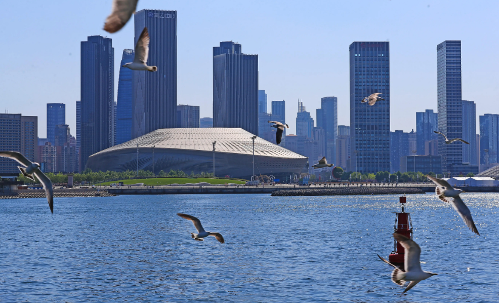 擲地有聲，重拳出擊！寰宇原木SPC海洋扳，高端裝飾的不二之選。